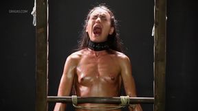 BDSM (Bondage Dominação Sadismo Masoquismo) 